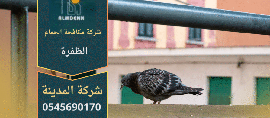 مكافحة الحمام في ابوظبي,طرد الحمام في ابوظبي,تركيب شبك طارد الحمام في ابوظبي,شركات مكافحة الحمام في ابوظبي,حلول إبعاد الحمام في ابوظبي,شركة مكافحة الحمام في ابوظبي