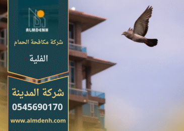 حمام يتجمع على سطح مبنى في منطقة الفلية، مما يبرز أهمية خدمات شركة مكافحة الحمام في الفلية للحفاظ على نظافة المكان ومنع انتشار الطيور.