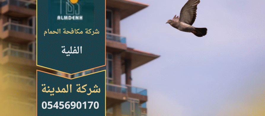 حمام يتجمع على سطح مبنى في منطقة الفلية، مما يبرز أهمية خدمات شركة مكافحة الحمام في الفلية للحفاظ على نظافة المكان ومنع انتشار الطيور.
