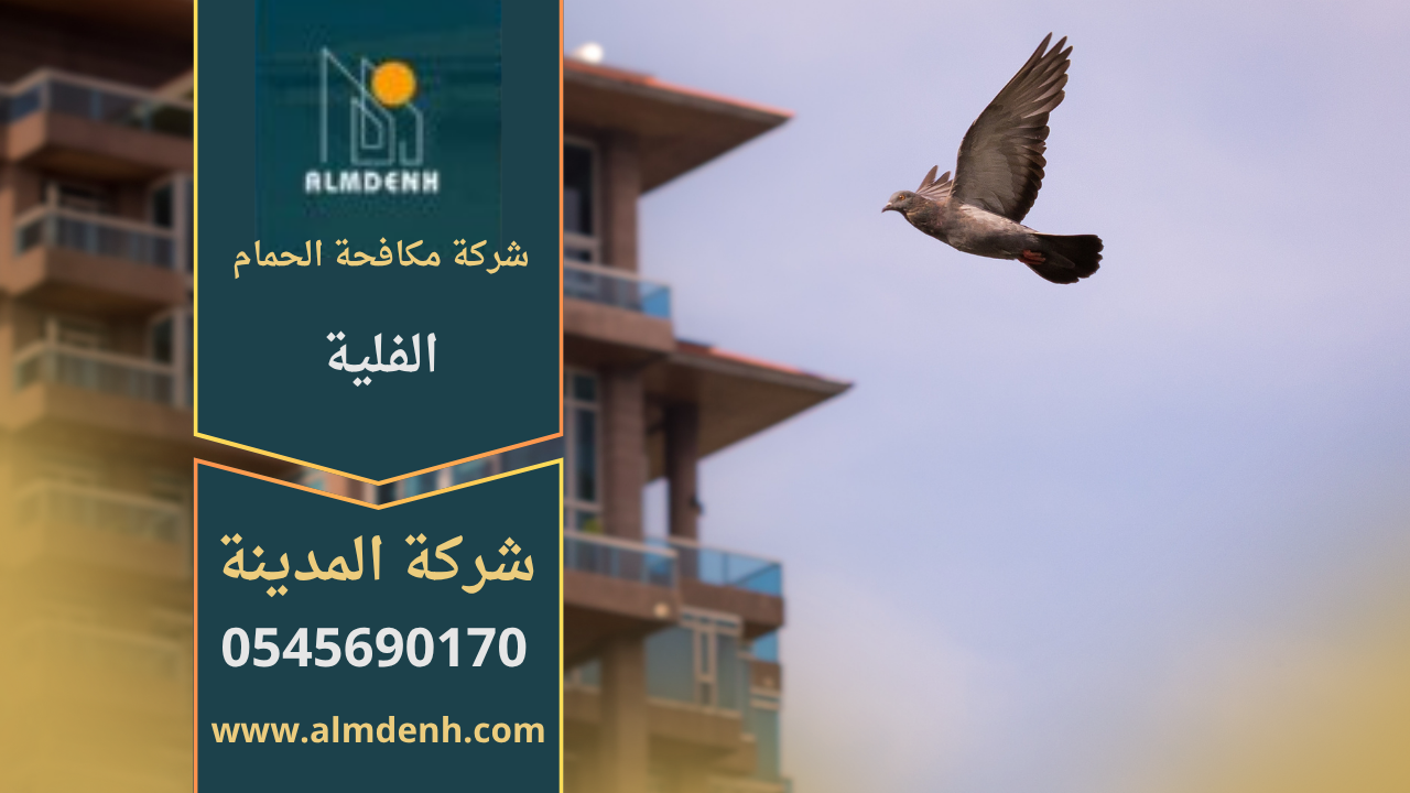 حمام يتجمع على سطح مبنى في منطقة الفلية، مما يبرز أهمية خدمات شركة مكافحة الحمام في الفلية للحفاظ على نظافة المكان ومنع انتشار الطيور.