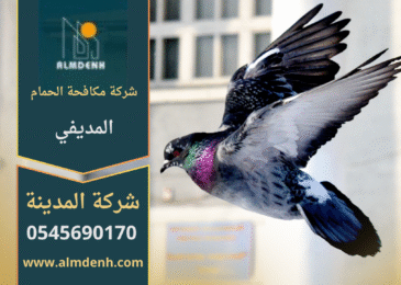 فريق من شركة مكافحة الحمام في المديفي يركب شبك وأسلاك طاردة للحمام على الأسطح والنوافذ بطريقة آمنة وفعالة.