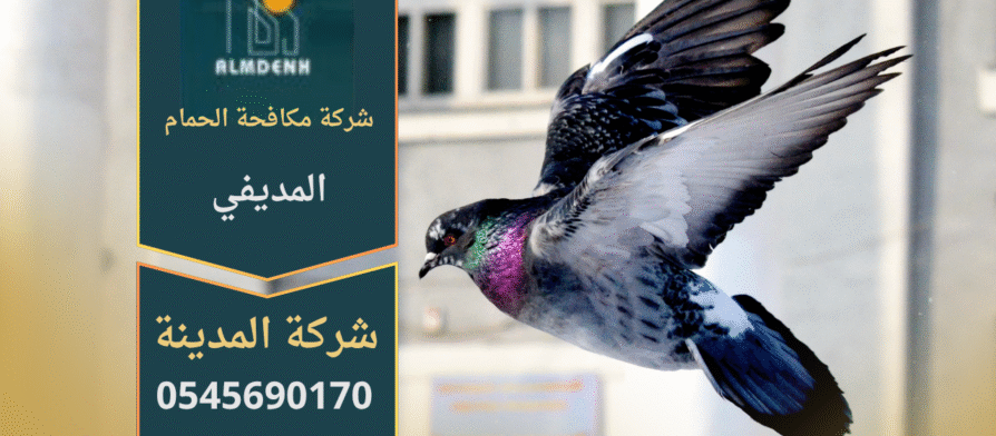 فريق من شركة مكافحة الحمام في المديفي يركب شبك وأسلاك طاردة للحمام على الأسطح والنوافذ بطريقة آمنة وفعالة.