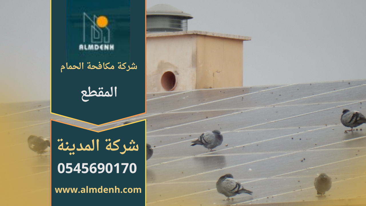 صورة تُظهر فريق شركة مكافحة الحمام في المقطع أثناء تركيب شبك حماية لمنع تجمع الحمام على الأسطح.