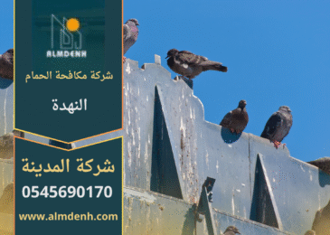 صورة توضح فريق شركة مكافحة الحمام في النهدة أثناء تركيب شبك مانع للحمام على أحد الأسطح لحماية المباني من الطيور.