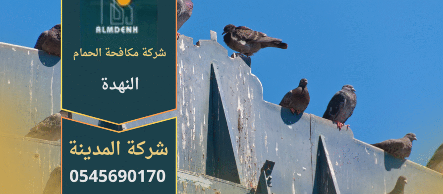 صورة توضح فريق شركة مكافحة الحمام في النهدة أثناء تركيب شبك مانع للحمام على أحد الأسطح لحماية المباني من الطيور.