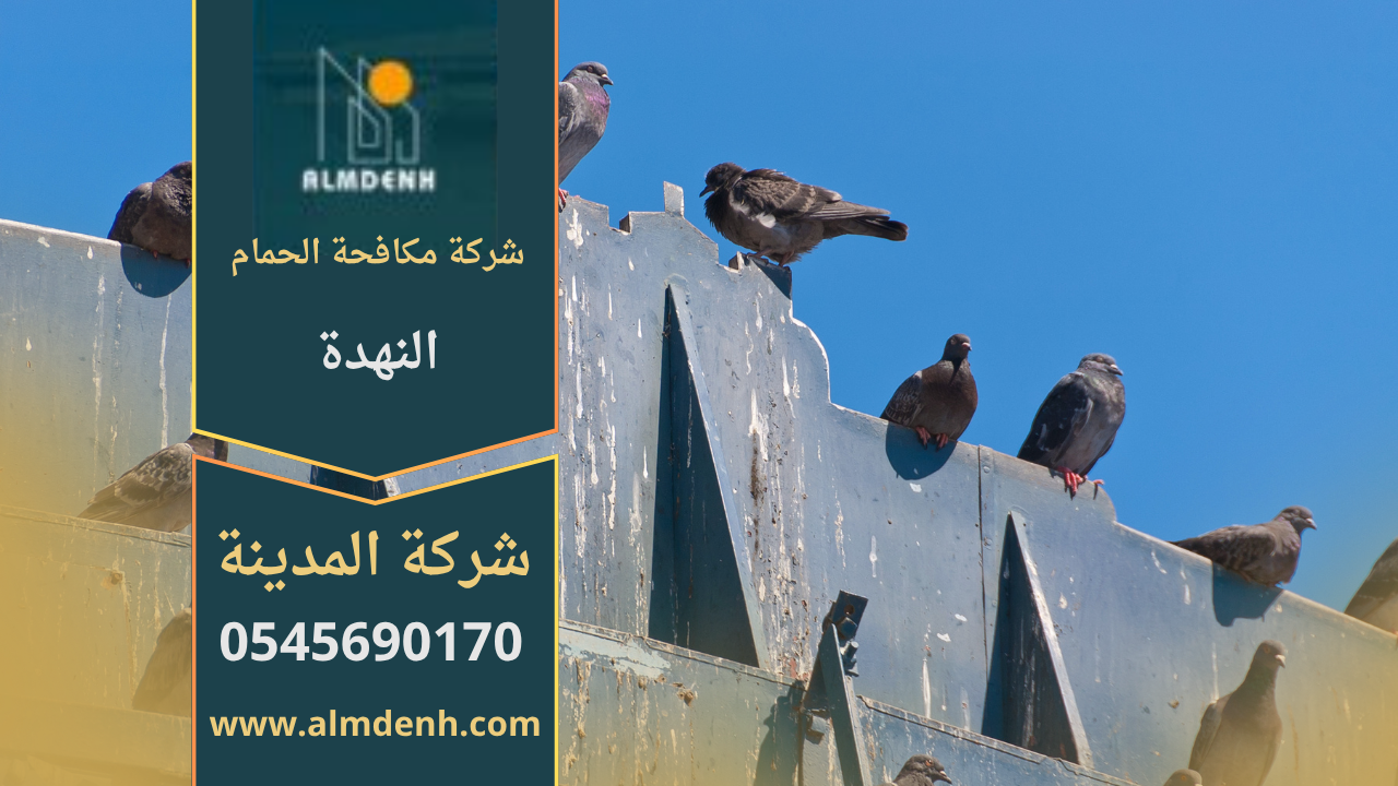 صورة توضح فريق شركة مكافحة الحمام في النهدة أثناء تركيب شبك مانع للحمام على أحد الأسطح لحماية المباني من الطيور.