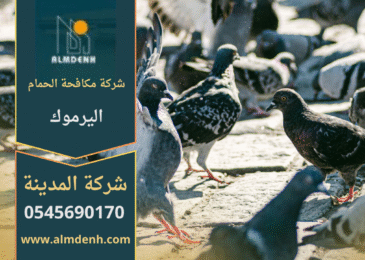 صورة توضح فريق مكافحة الحمام اليرموك أثناء تركيب شبك مانع على الأسطح لحماية المباني من تجمع الطيور.