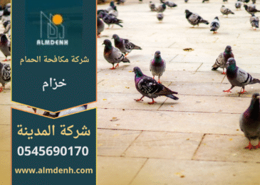 صورة توضّح تجمع الحمام على أسطح المباني في خزام مع حلول فعّالة من شركة مكافحة الحمام في خزام لإبعاد الطيور وحماية الواجهات.