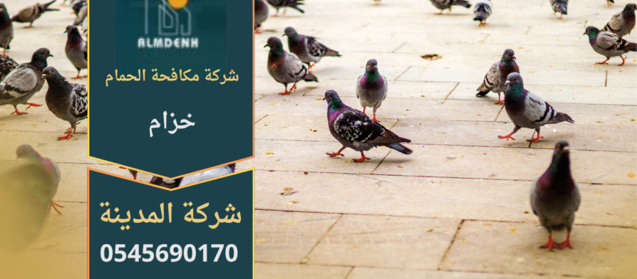 صورة توضّح تجمع الحمام على أسطح المباني في خزام مع حلول فعّالة من شركة مكافحة الحمام في خزام لإبعاد الطيور وحماية الواجهات.