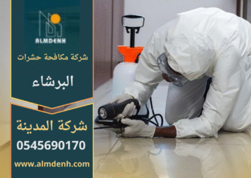 فريق متخصص من شركة مكافحة حشرات في البرشاء يقوم بمعالجة مبنى للقضاء على الحشرات بطريقة آمنة وفعالة