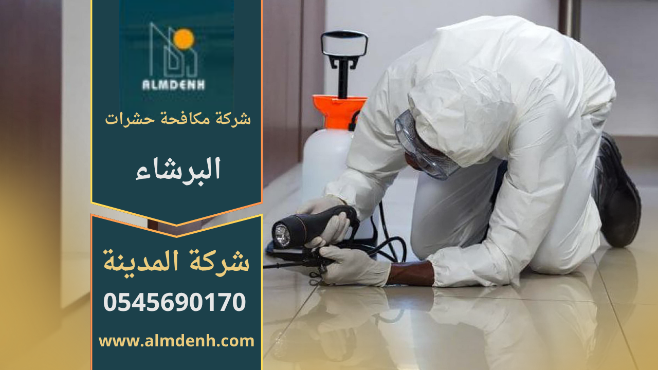 فريق متخصص من شركة مكافحة حشرات في البرشاء يقوم بمعالجة مبنى للقضاء على الحشرات بطريقة آمنة وفعالة