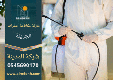 فريق متخصص من شركة مكافحة حشرات الجرينة يستخدم أدوات حديثة لرش المبيدات داخل منزل في بيئة آمنة.