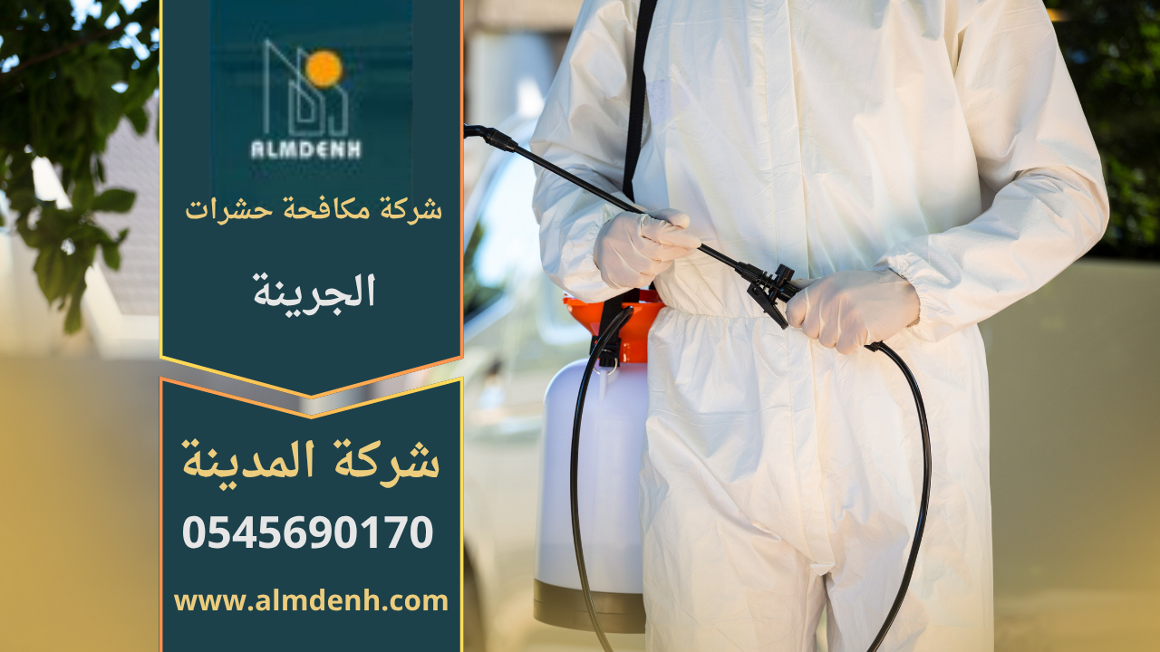 فريق متخصص من شركة مكافحة حشرات الجرينة يستخدم أدوات حديثة لرش المبيدات داخل منزل في بيئة آمنة.