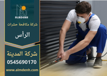 شركة مكافحة حشرات في الرأس تقدم خدمات احترافية للقضاء على الحشرات داخل المنازل والمباني التجارية.
