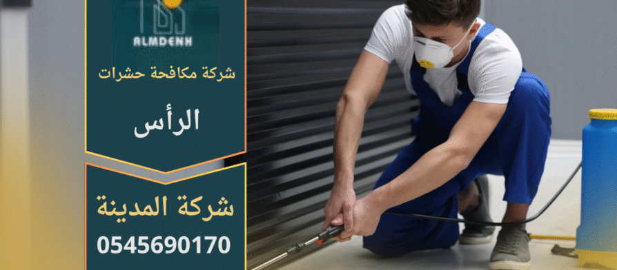 شركة مكافحة حشرات في الرأس تقدم خدمات احترافية للقضاء على الحشرات داخل المنازل والمباني التجارية.