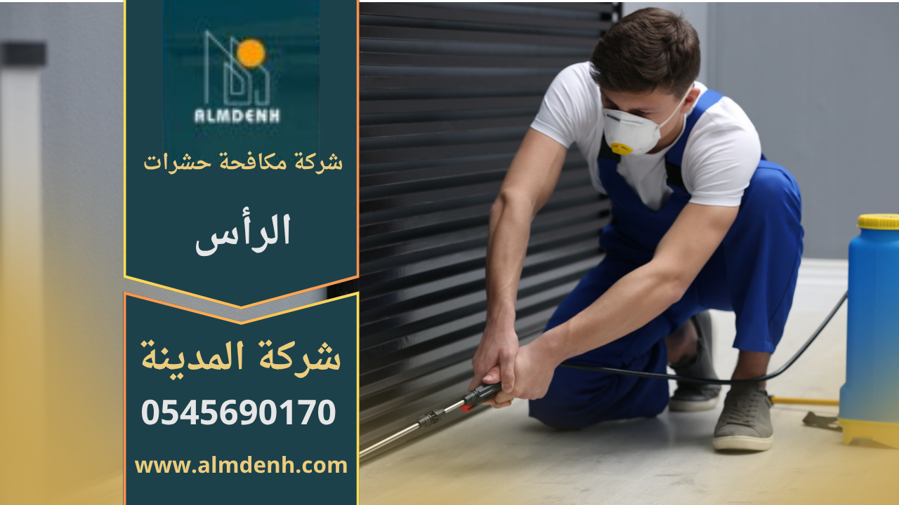 شركة مكافحة حشرات في الرأس تقدم خدمات احترافية للقضاء على الحشرات داخل المنازل والمباني التجارية.