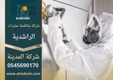 عامل مختص من شركة مكافحة حشرات في الراشدية يقوم برش المبيدات الحديثة للتخلص من الحشرات المنزلية بطريقة آمنة وفعالة.