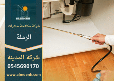 فريق متخصص من شركة مكافحة حشرات في الرملة يستخدم معدات حديثة لرش المبيدات داخل منزل لضمان بيئة خالية من الحشرات.