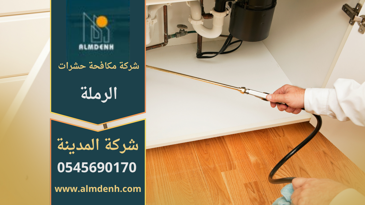 فريق متخصص من شركة مكافحة حشرات في الرملة يستخدم معدات حديثة لرش المبيدات داخل منزل لضمان بيئة خالية من الحشرات.