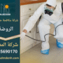 فريق متخصص من شركة مكافحة حشرات الروضة يستخدم أدوات حديثة لمكافحة الحشرات داخل منزل حديث
