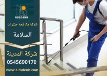 فريق محترف من شركة مكافحة حشرات السلامة يستخدم معدات حديثة وآمنة لإبادة الحشرات في المنازل والمكاتب.
