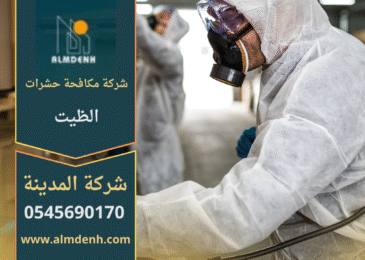 فني من شركة مكافحة حشرات في الظيت يستخدم معدات رش حديثة داخل منزل للتخلص من الحشرات بسرعة وأمان.