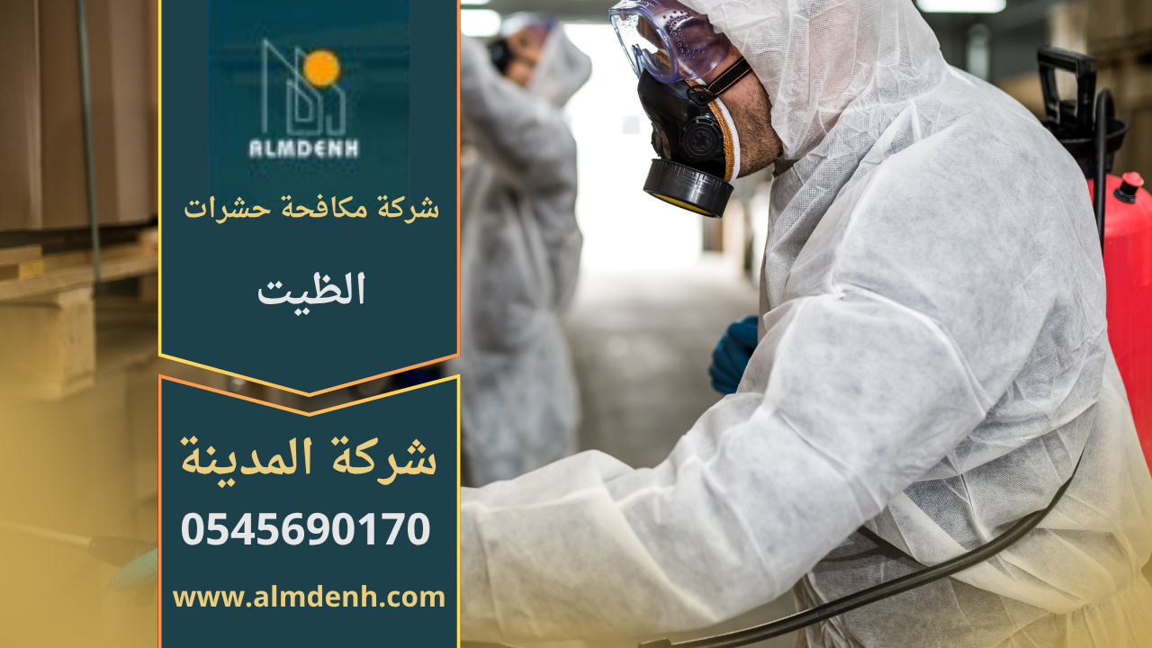 فني من شركة مكافحة حشرات في الظيت يستخدم معدات رش حديثة داخل منزل للتخلص من الحشرات بسرعة وأمان.