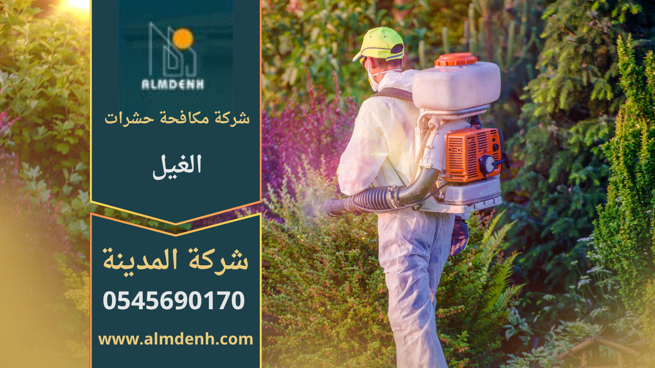 صورة توضح فنيًا يقوم برش مبيدات داخل منزل في الغيل، مما يبرز أهمية خدمات شركة مكافحة حشرات في الغيل للتخلص من الحشرات بكفاءة وأمان.