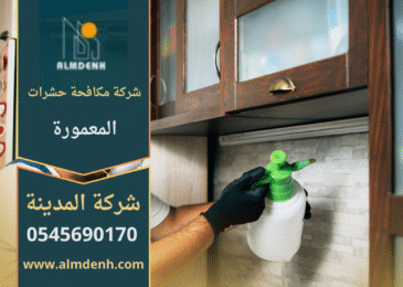 صورة لفريق متخصص يقوم بمكافحة الحشرات داخل منزل في المعمورة باستخدام معدات حديثة من شركة مكافحة حشرات في المعمورة