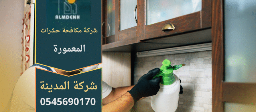 صورة لفريق متخصص يقوم بمكافحة الحشرات داخل منزل في المعمورة باستخدام معدات حديثة من شركة مكافحة حشرات في المعمورة