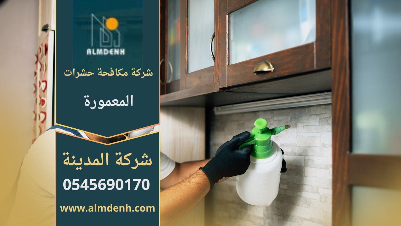 صورة لفريق متخصص يقوم بمكافحة الحشرات داخل منزل في المعمورة باستخدام معدات حديثة من شركة مكافحة حشرات في المعمورة