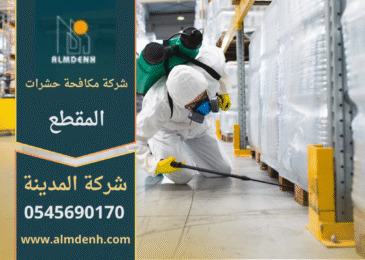 فريق متخصص من شركة مكافحة حشرات في المقطع يستخدم معدات حديثة وآمنة لرش المبيدات داخل منزل سكني في المقطع.