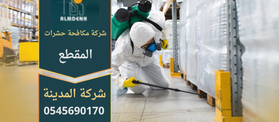 فريق متخصص من شركة مكافحة حشرات في المقطع يستخدم معدات حديثة وآمنة لرش المبيدات داخل منزل سكني في المقطع.