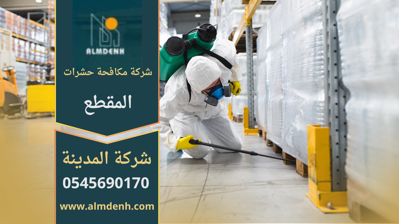 فريق متخصص من شركة مكافحة حشرات في المقطع يستخدم معدات حديثة وآمنة لرش المبيدات داخل منزل سكني في المقطع.