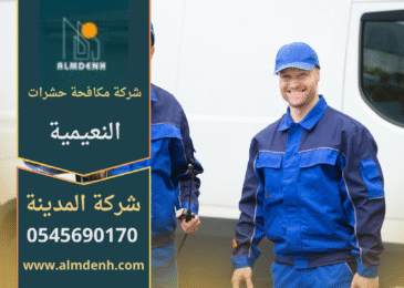 فريق عمل من شركة مكافحة حشرات في النعيمية يستخدم أدوات حديثة لرش المبيدات والتخلص من الحشرات بسرعة وأمان داخل المنازل والشركات