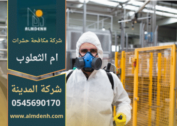فريق متخصص من شركة مكافحة حشرات في ام الثعلوب يستخدم معدات حديثة لمكافحة الحشرات داخل منزل سكني.