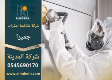 فريق متخصص من شركة مكافحة حشرات في جميرا يقوم بعلاج منزل للقضاء على الحشرات بطريقة آمنة وفعالة