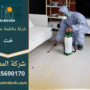 فريق متخصص من شركة مكافحة حشرات في خت أثناء تنفيذ عملية رش آمنة داخل منزل سكني باستخدام معدات حديثة.