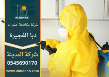 فريق عمل من شركة مكافحة حشرات في دبا الفجيرة يقوم برش المبيدات داخل المنازل باستخدام تقنيات متطورة لضمان بيئة آمنة ونظيفة.