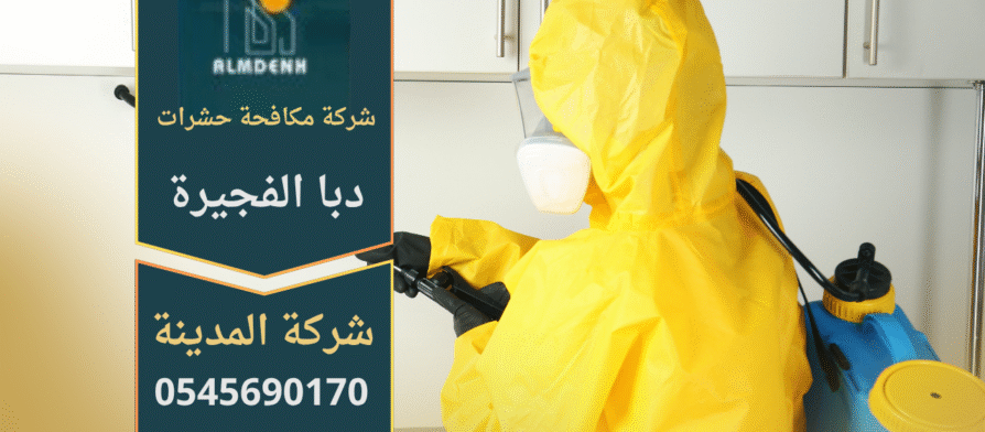 فريق عمل من شركة مكافحة حشرات في دبا الفجيرة يقوم برش المبيدات داخل المنازل باستخدام تقنيات متطورة لضمان بيئة آمنة ونظيفة.