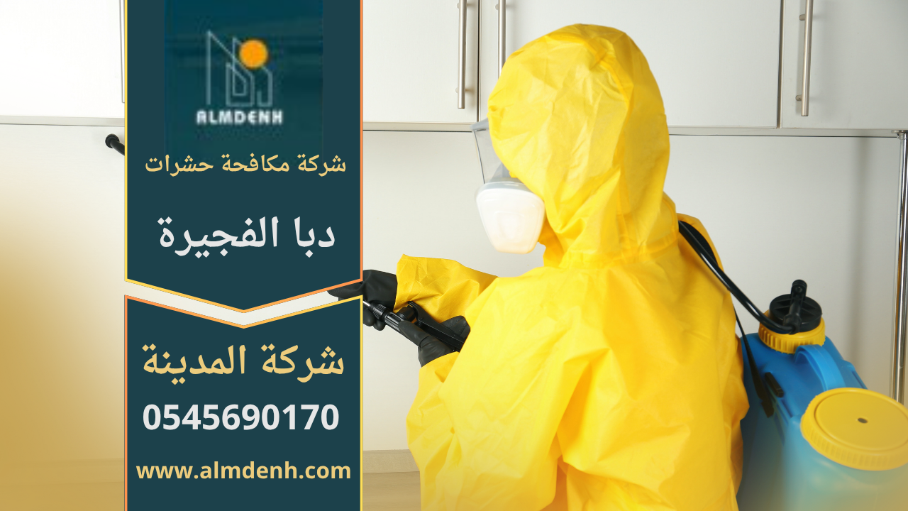 فريق عمل من شركة مكافحة حشرات في دبا الفجيرة يقوم برش المبيدات داخل المنازل باستخدام تقنيات متطورة لضمان بيئة آمنة ونظيفة.