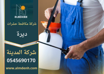 شركة مكافحة حشرات في ديرة تقدم حلول فعالة وآمنة للتخلص من جميع أنواع الحشرات