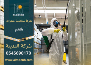 فني من شركة مكافحة حشرات في شعم يرش مبيدات داخل منزل باستخدام معدات حديثة للتخلص من الحشرات بسرعة وبطريقة آمنة.