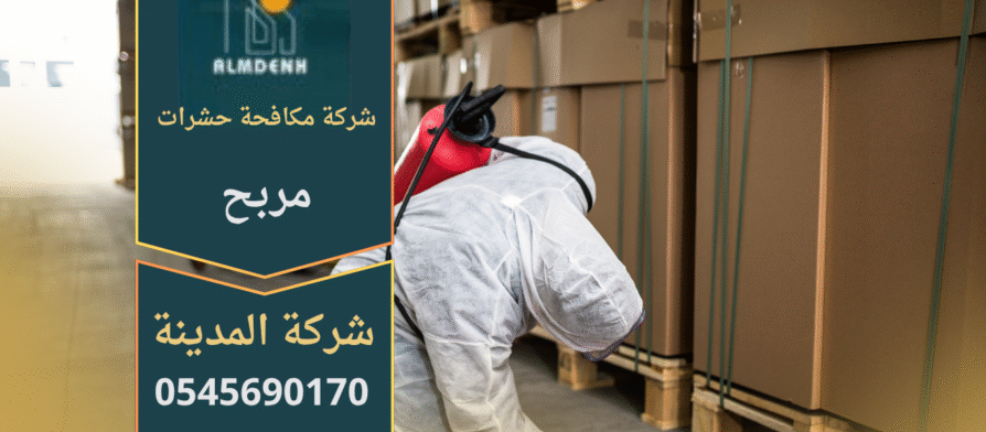 فريق من شركة مكافحة حشرات في مربح يقوم برش المبيدات داخل أحد المنازل باستخدام أدوات متطورة لضمان بيئة آمنة وخالية من الحشرات.