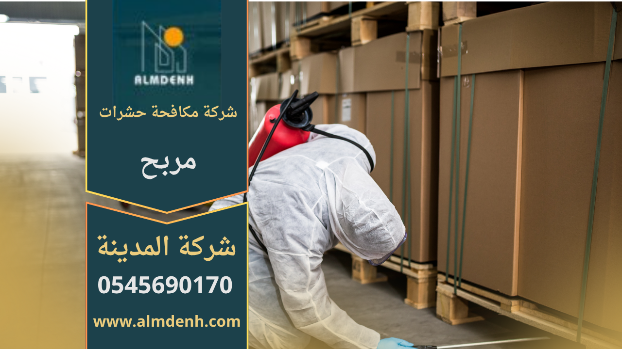 فريق من شركة مكافحة حشرات في مربح يقوم برش المبيدات داخل أحد المنازل باستخدام أدوات متطورة لضمان بيئة آمنة وخالية من الحشرات.