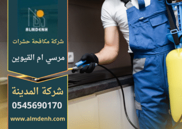 فريق عمل شركة مكافحة حشرات في مرسى ام القيوين يستخدم معدات حديثة لإبادة الحشرات من المنازل والمباني بطرق آمنة وفعالة.