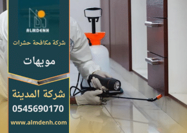 فريق عمل من شركة مكافحة حشرات في مويهات يستخدم معدات حديثة لرش المبيدات داخل الفلل والمنازل لضمان القضاء على الآفات بشكل كامل.