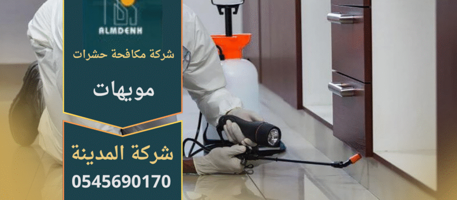 فريق عمل من شركة مكافحة حشرات في مويهات يستخدم معدات حديثة لرش المبيدات داخل الفلل والمنازل لضمان القضاء على الآفات بشكل كامل.