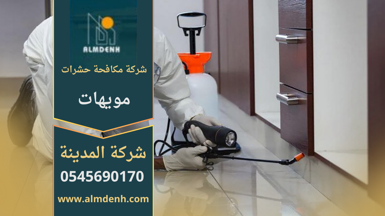 فريق عمل من شركة مكافحة حشرات في مويهات يستخدم معدات حديثة لرش المبيدات داخل الفلل والمنازل لضمان القضاء على الآفات بشكل كامل.