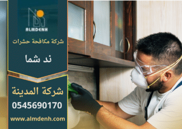 شركة مكافحة حشرات في ند شما تقدم خدمات التخلص من الحشرات بسرعة وأمان